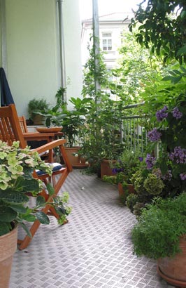 Gartenseminar: Balkon und Terrasse im Sommer